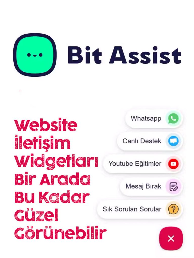 Bit Assist Pro Lisansı ve Kurulumu