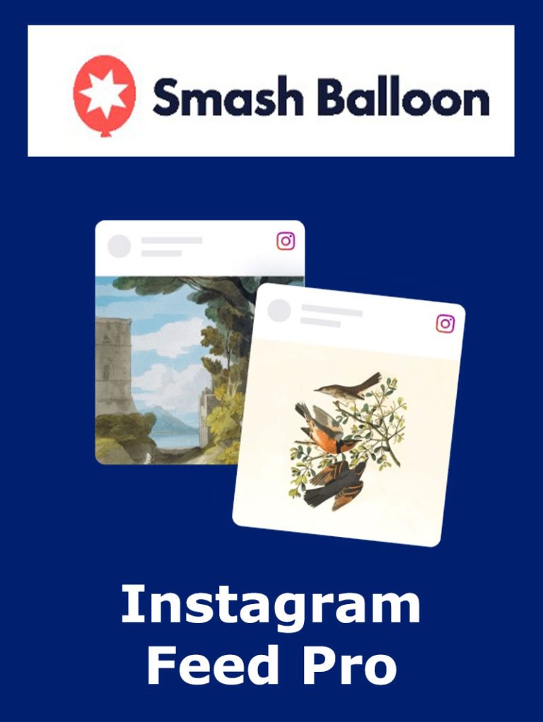 Instagram Feed Pro Lisansı ve Kurulumu