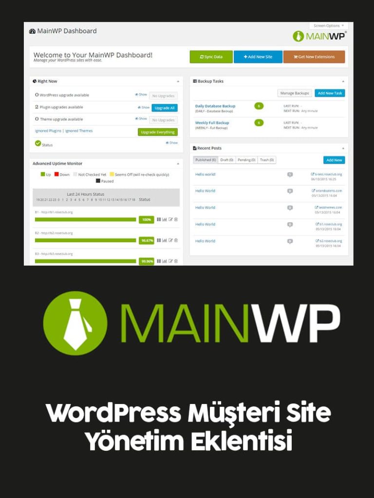 MainWP Pro Lisansı ve Kurulumu