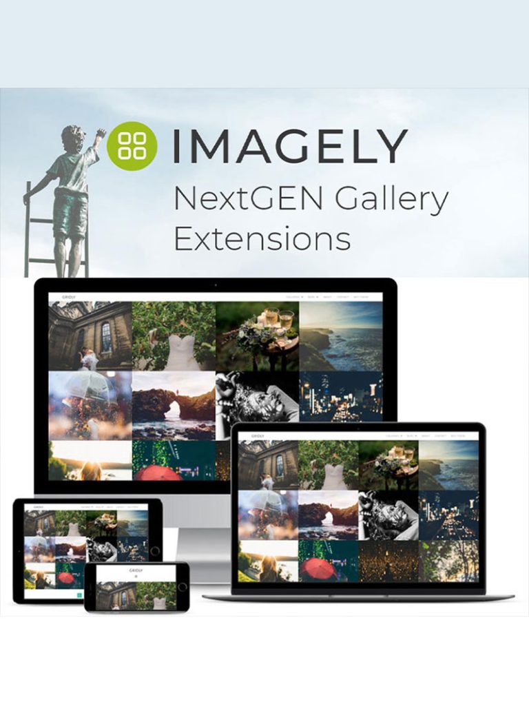 NextGEN Gallery Pro Lisansı ve Kurulumu