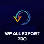 WP All Export Pro Lisansı ve Kurulumu