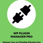 WP Plugin Manager Pro Lisansı ve Kurulumu