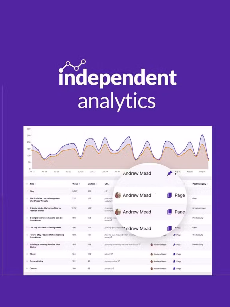 Independent Analytics Pro Kurulumu
