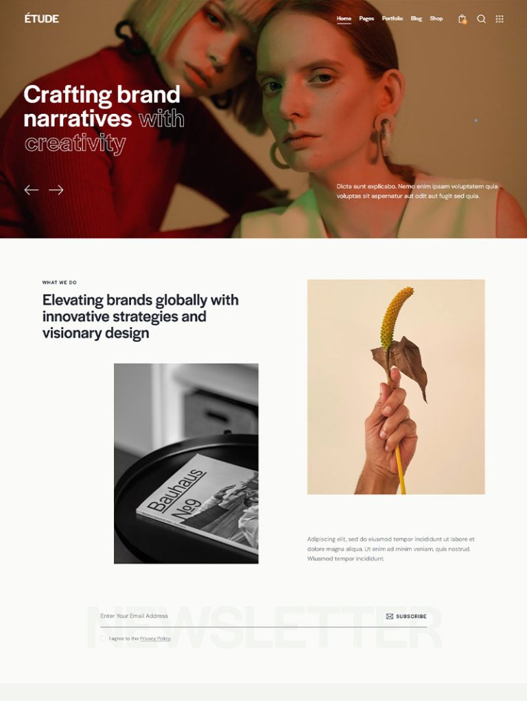 Etude Kreatif Ajans ve Portfolyo WordPress Teması