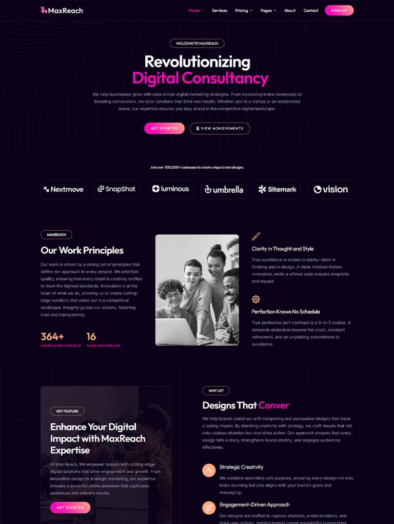 MaxReach SEO Ajansı WordPress Teması
