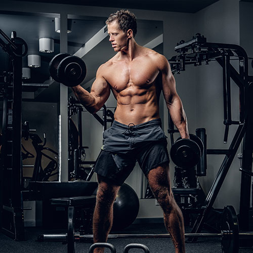 Gym-Spor-Fitness Temaları