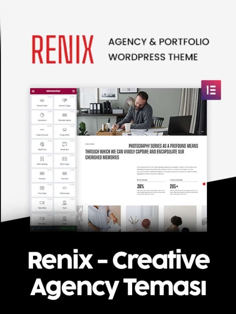 Renix Tema Lisansı