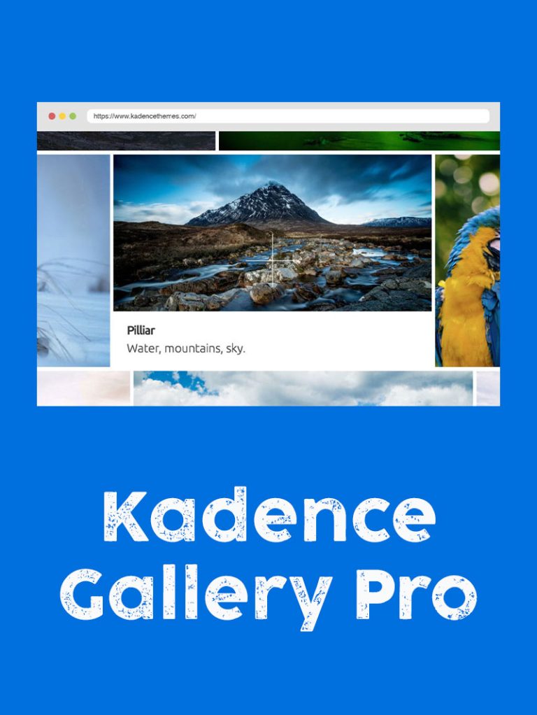 Kadence Gallery Pro Lisansı ve Kurulumu